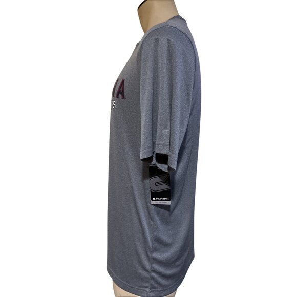 NEW Arizona Wildcats Colosseum Grey Tee T-Shirt Men's L - Picture 4 of 8